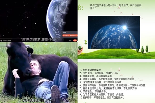 3_副本.jpg 3_副本.jpg